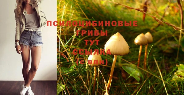 гашик Абаза
