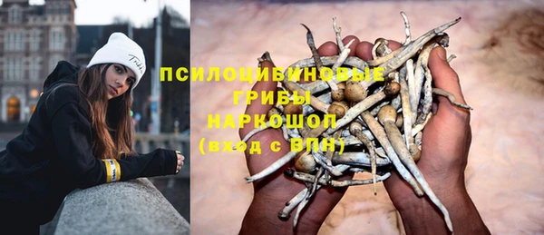 экстази Алексин